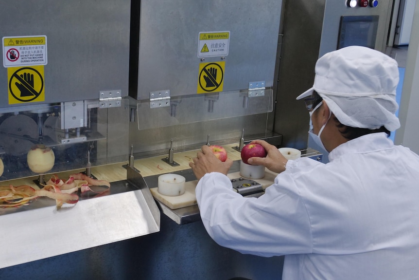 A man sits infront of an apple peeling machine 