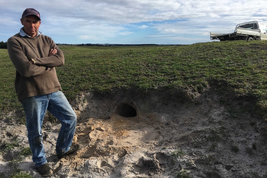 a farmer stands next to a wombat burrow that's created a sandpit