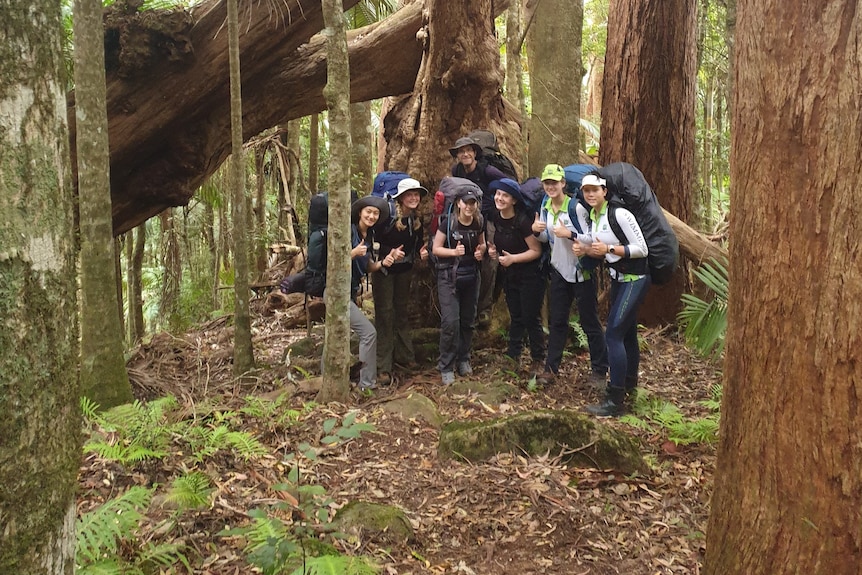 A group image of students and David Haliczer at Lamington National Park