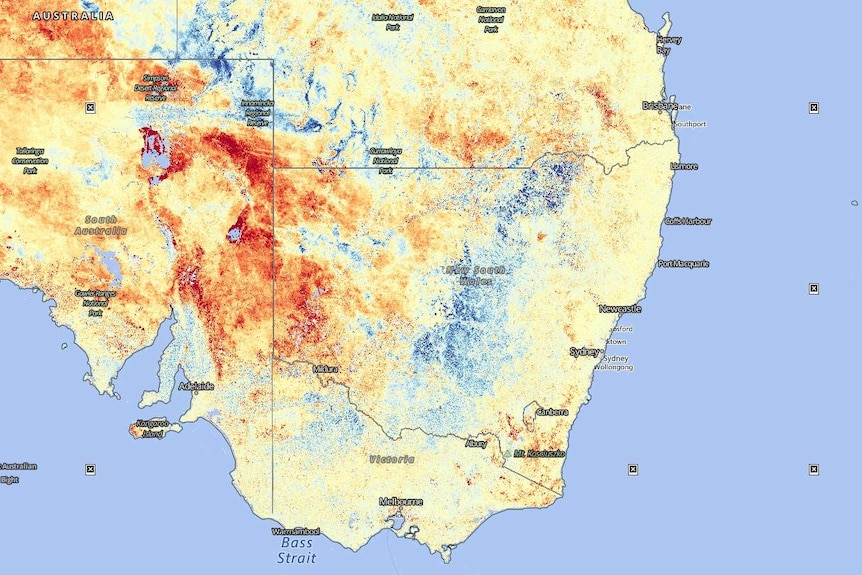A map of NSW showing different colours superimposed to represent ground cover.