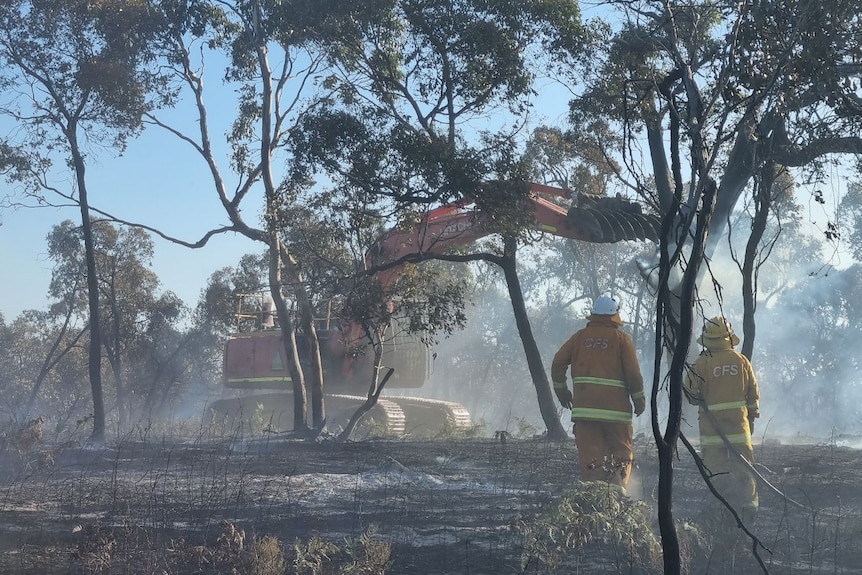 Two firefighters look on a digger suppressing fire on razed farm ground with trees