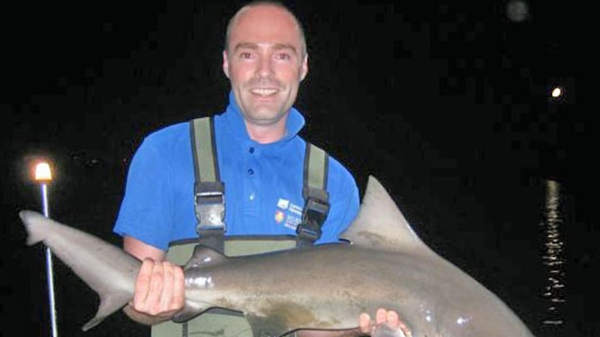 Dr Steeg Hoeksema holding a bull shark caught in the swan river