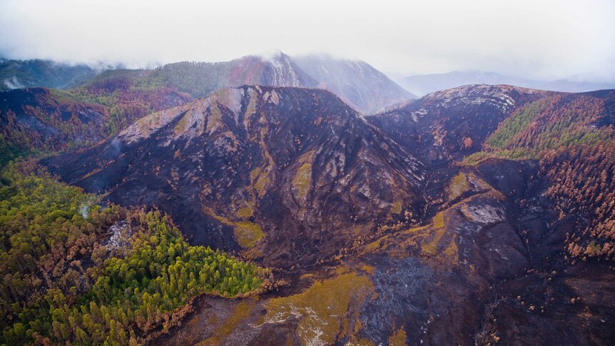 Blackened hillside after bushfire in Tasmania