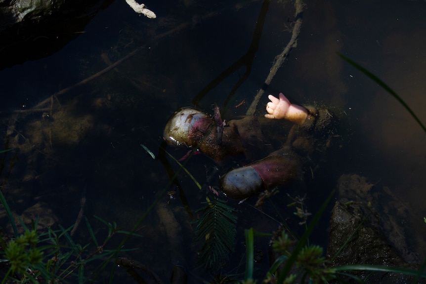 The white plastic hand of a small doll sticks out of the water near the banks of a river. 