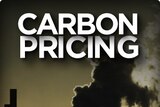Carbon pricing graphic
