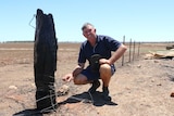Malcolm Hayes squats in front of a fire-damaged pole on his Cookernup property.