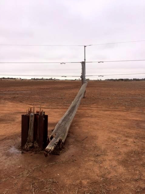 A powerline snapped at the base, lies in a bare paddock.