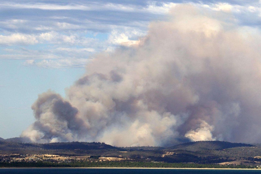 Smoke billows from the bushfire raging near Forcett.