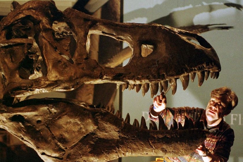 Tyrannosaurus rex grew to weigh 5,000 kilograms