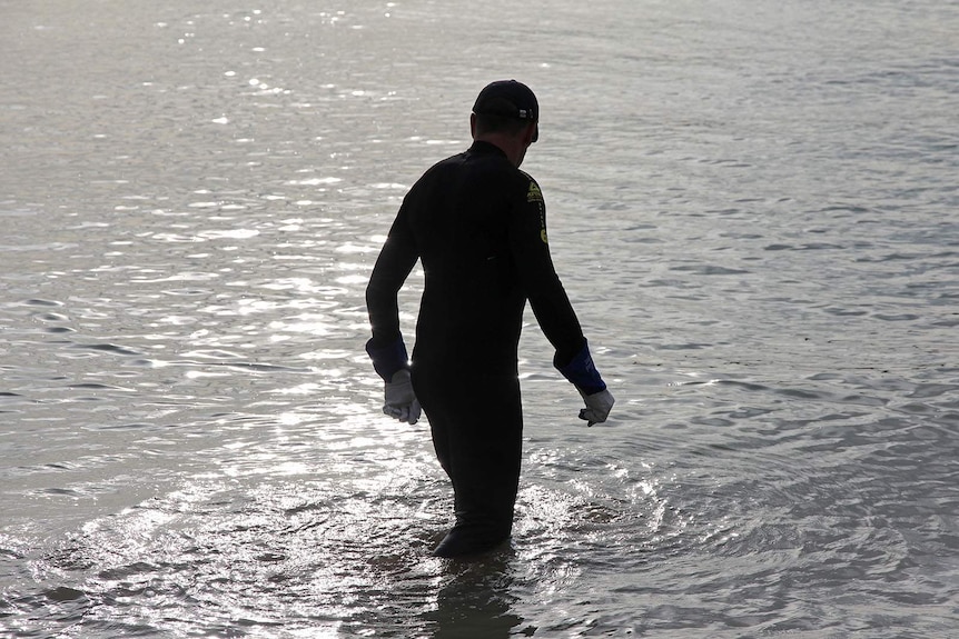 The silhouette of commercial diver Jim Miles in knee-deep water as he hunts for jellyfish.