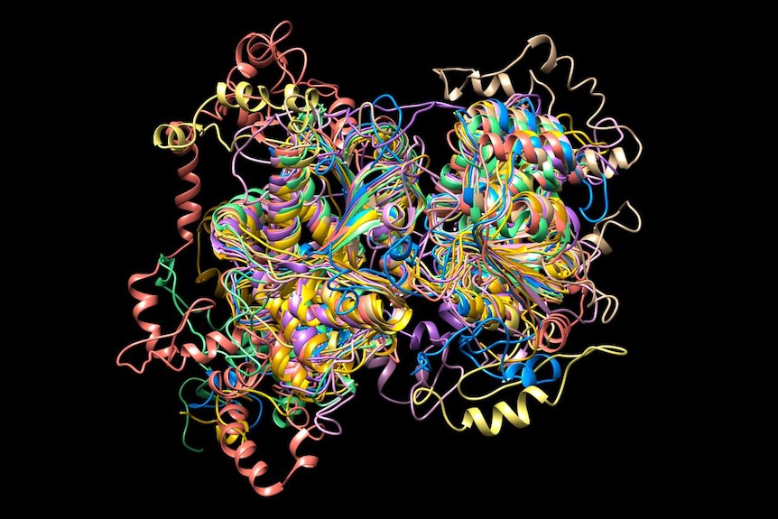 3D structure of proteins in the giardia parasite.