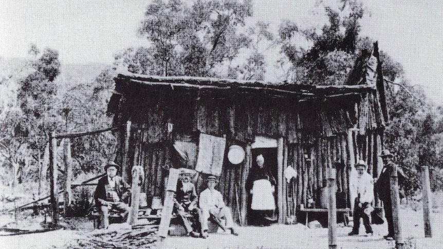 A hut at Ophir during the gold rush