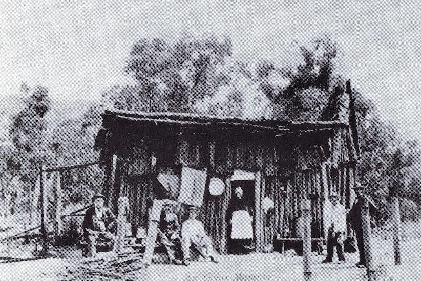 A hut at Ophir during the gold rush