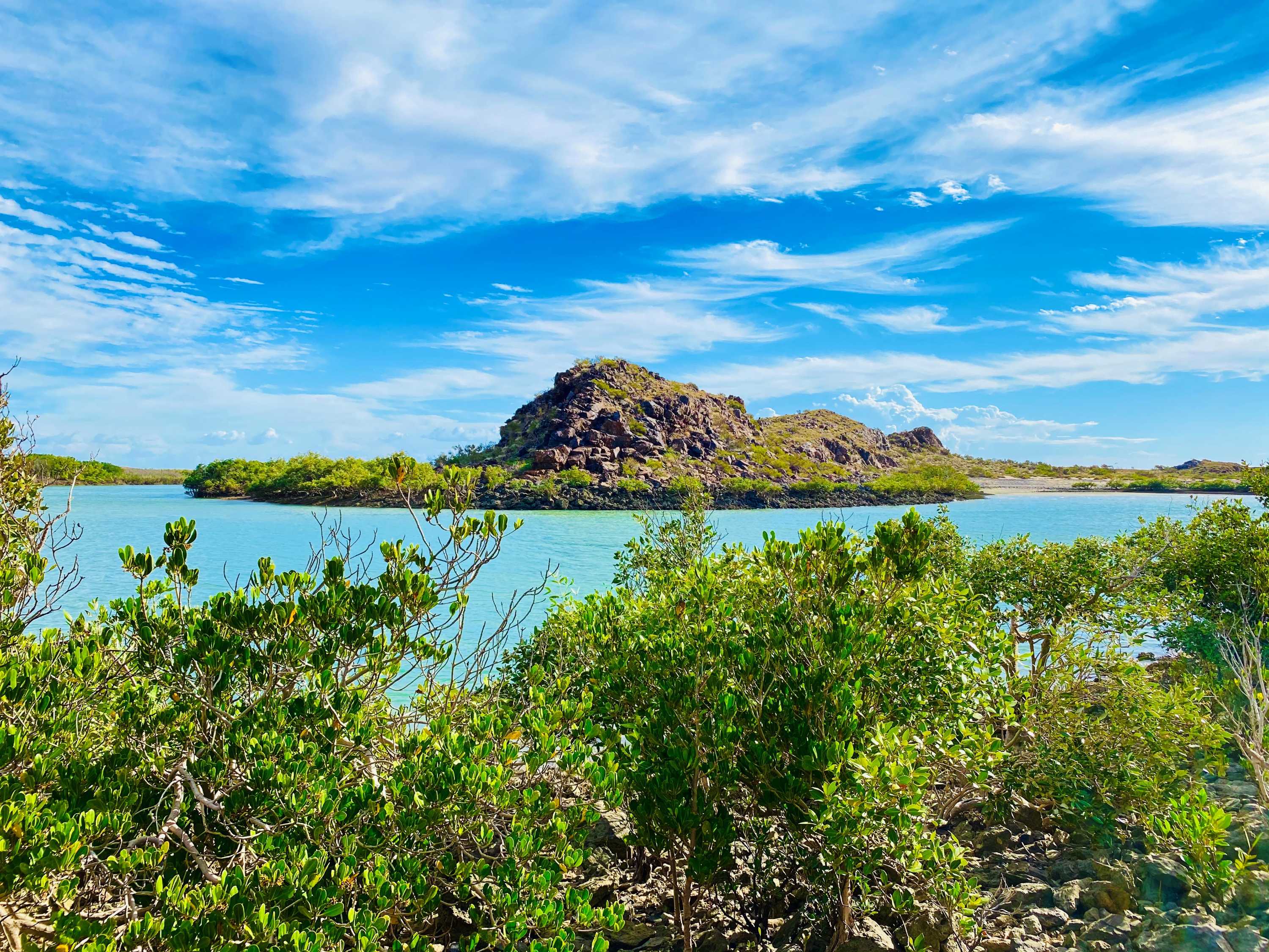 A wide landscape photo of a creek surrounded by mangroves during the day.