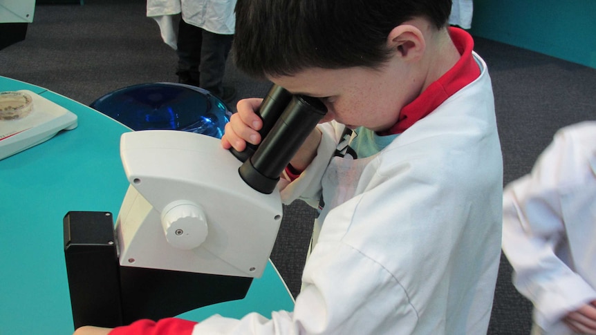 Child looking through microscope