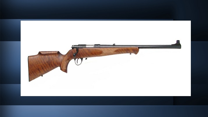 Fourteen weapons, including a gun similar to this, were stolen from a house in Old Beach.
