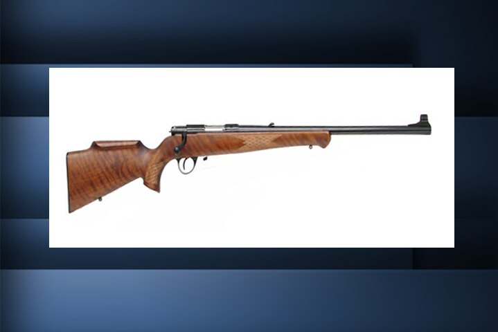 Fourteen weapons, including a gun similar to this, were stolen from a house in Old Beach.