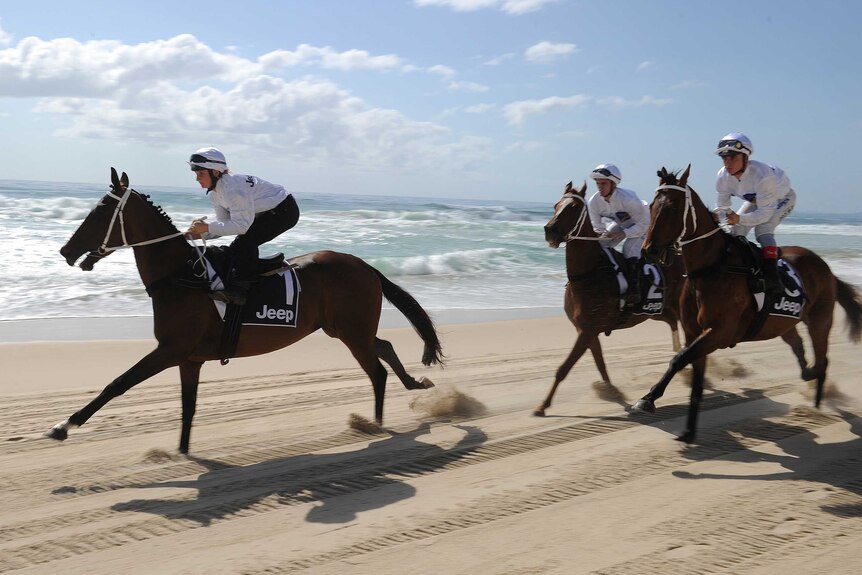 Three horses ridden by jockeys in light-coloured clothing race along a beach.