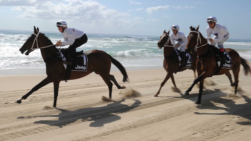 Horses run along the beach during the Magic Millions barrier draw at Surfers Paradise.