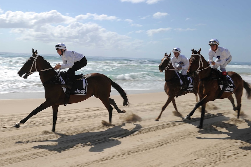 Horses run along the beach during the Magic Millions barrier draw at Surfers Paradise.