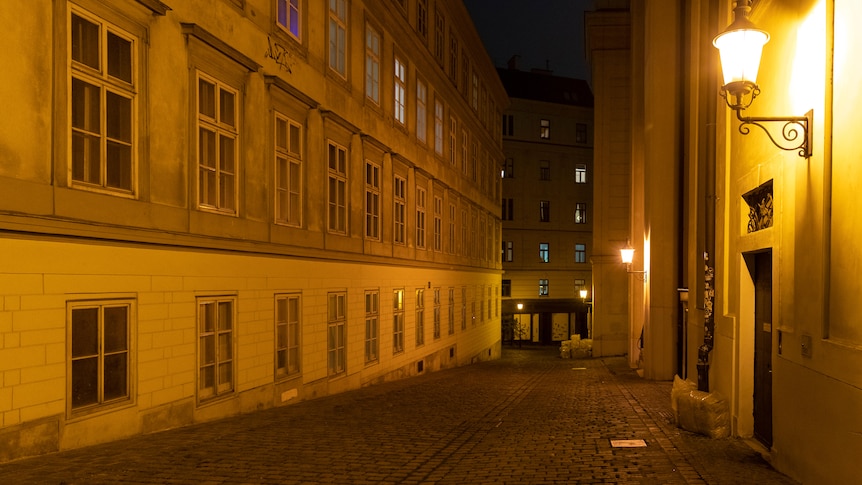 Photo shows empty streets of Vienna 