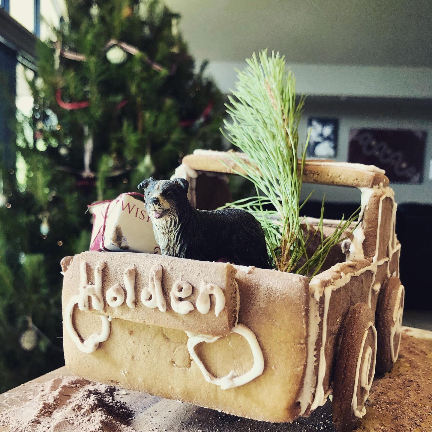 Holden Christmas Tree Chipping 2022 How To Host An Affordable, Natural Australian Christmas And Avoid Silly  Season Blues - Abc News