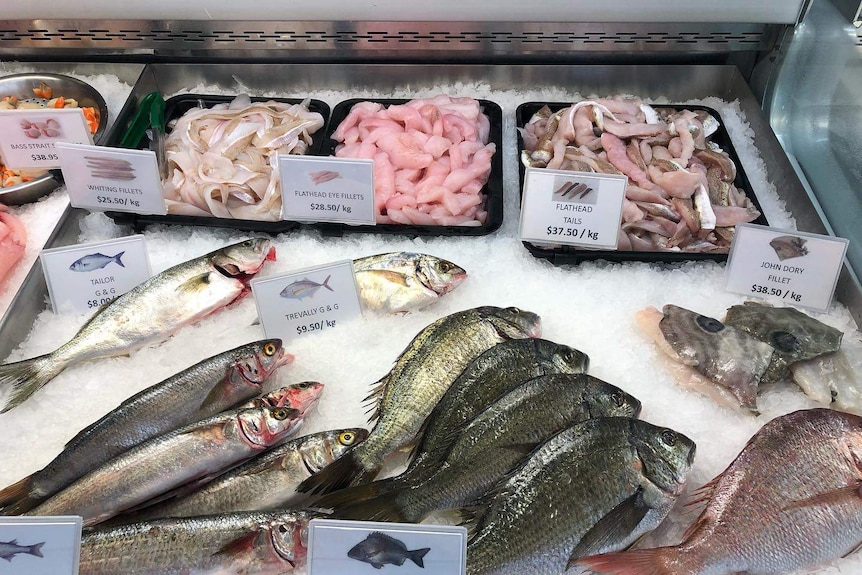 Fish resting on beds of ice in a fish market.