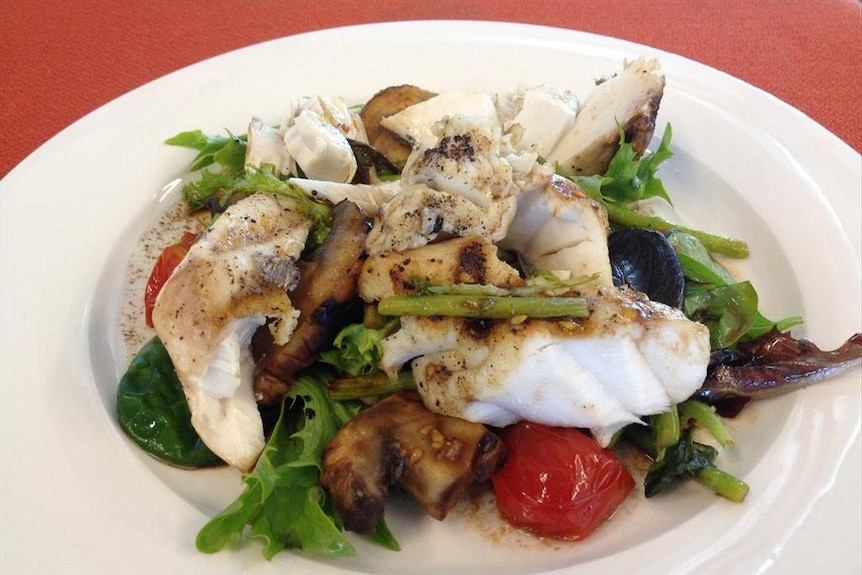 Plate of white barbequed fish with salad