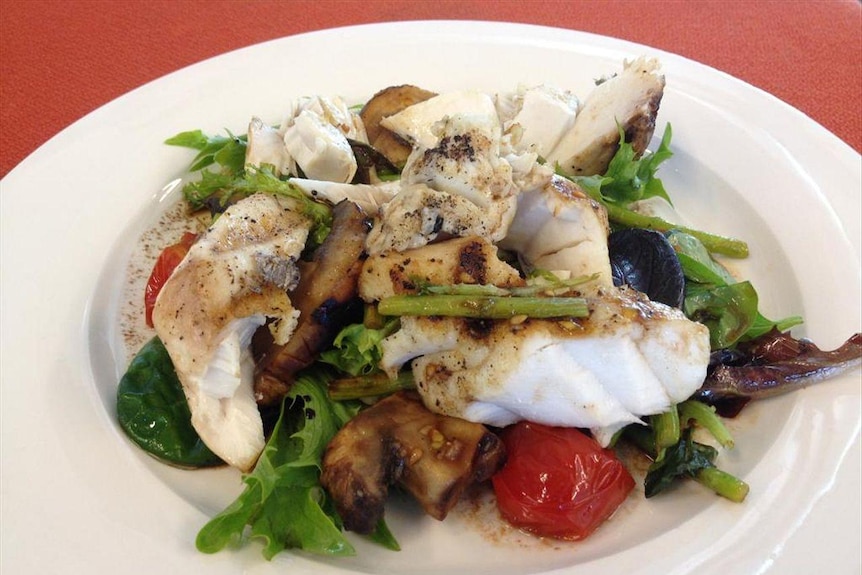 Assiette de poisson blanc au barbecue avec salade