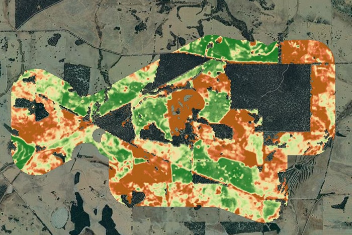 Screen capture of Cibolabs map of Brad Wooldridge's farm showing how much biomass is in each paddock