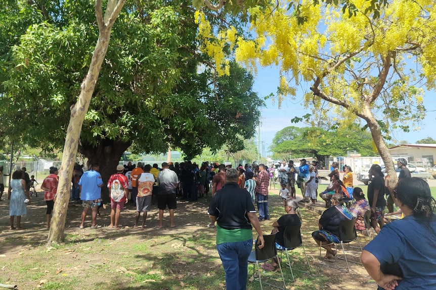 a crowd of people gathered in a park area beneath a tree