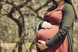 pregnant woman holding her belly.