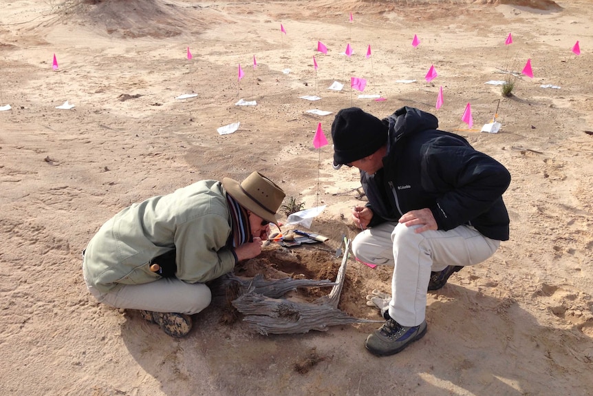 Two scientists search for fossils at Willandra Lakes