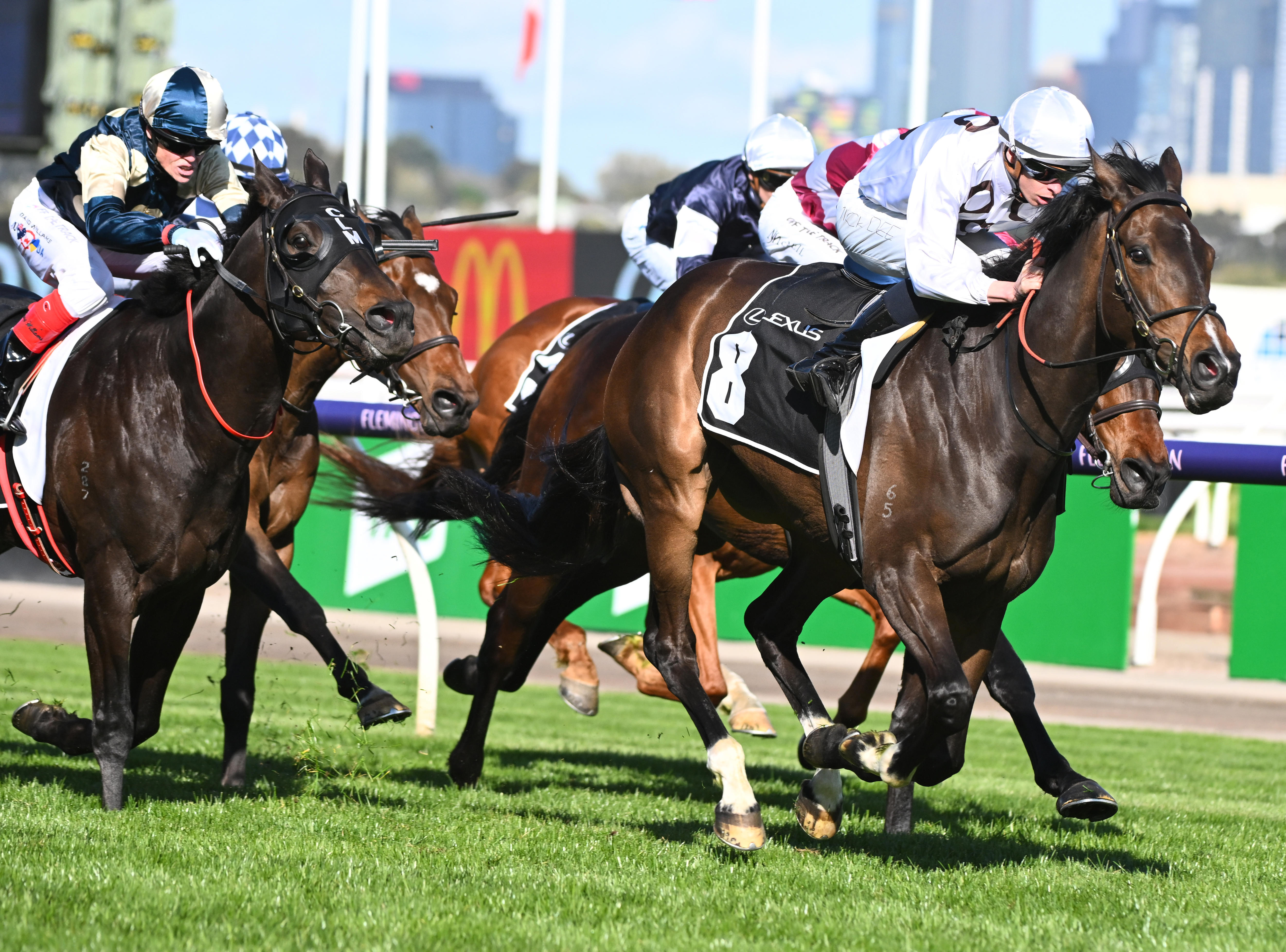 The Melbourne Cup How did the 22 runners make it into the big race? ABC News