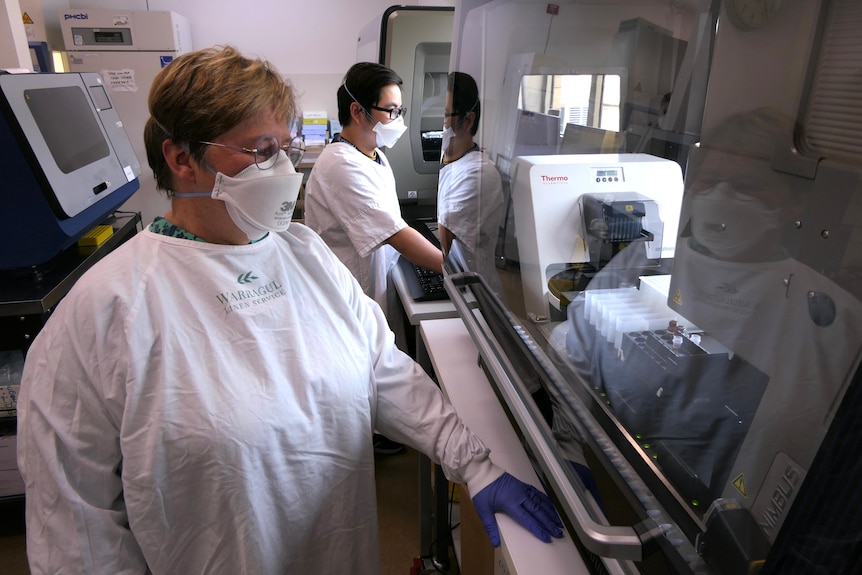 A man and a woman in PPE look at a medical machine.