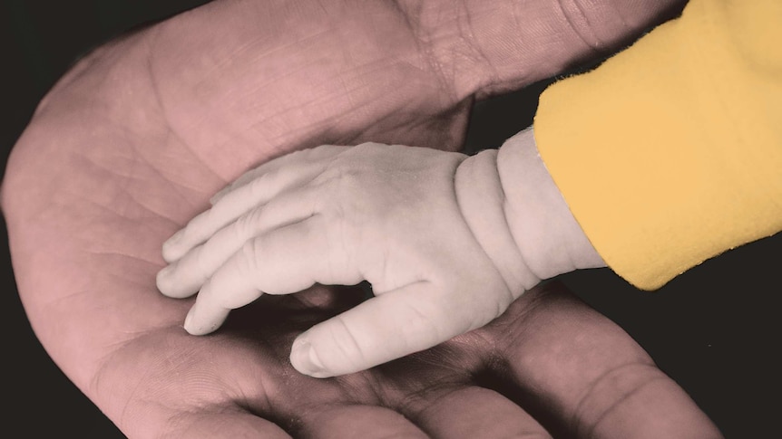 Two hands touch each other. One belongs to a parent and the other belongs to a baby.
