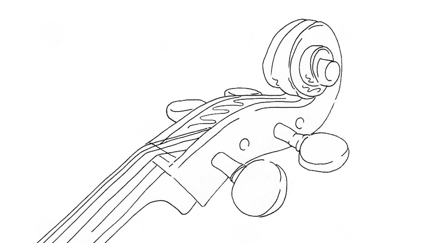 line drawing of a cello scroll.