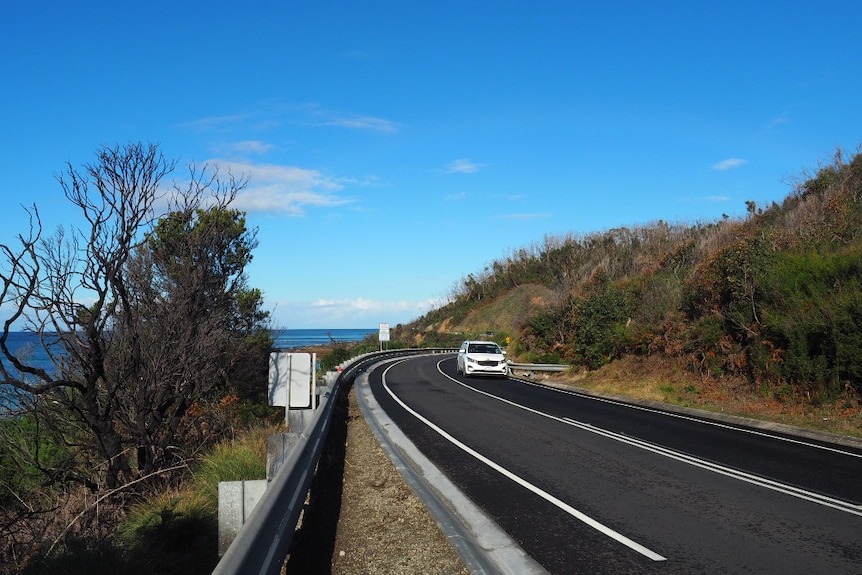 A white car drives along a windy road beside the ocean.