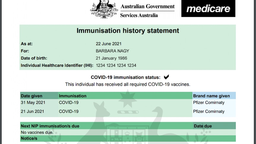 A screenshot of an immunisation history statement