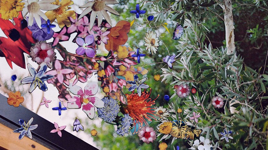 Artwork of flower and trees collaged onto a photo.