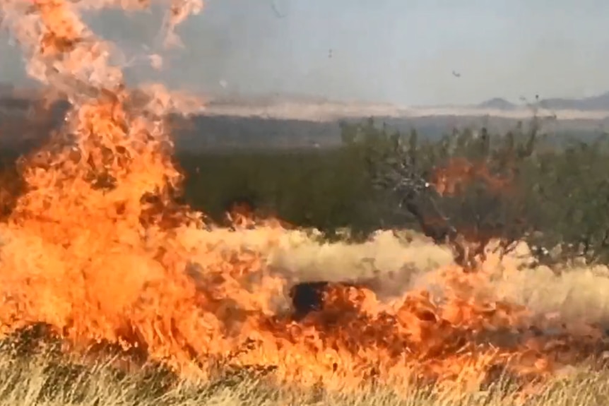 A screenshot from a video shows scrubland in Arizona ablaze.