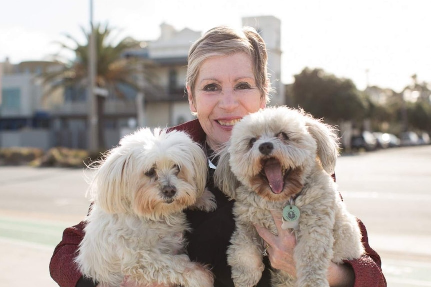 A woman holding two white, fluffy dogs.