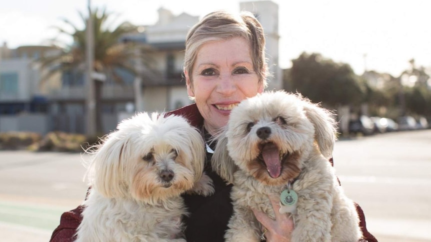 A woman holding two white, fluffy dogs.