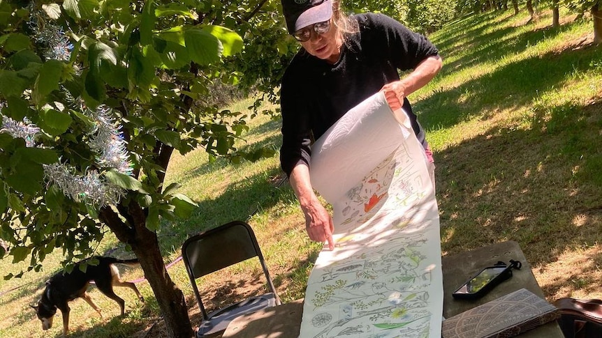 A woman in a cap wearing sunglasses holds the end of an eight metre scroll filled with botanic drawings.