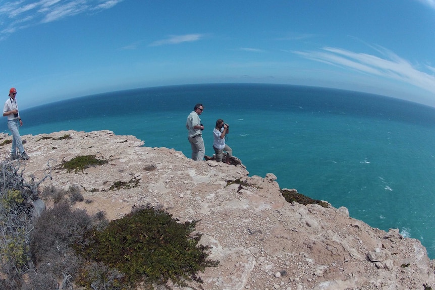 A group of adults on steep cliffs peering down to the ocean using binoculars