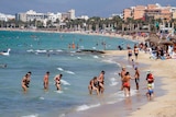 Shirtless people enjoy the beach in Majorca, Spain