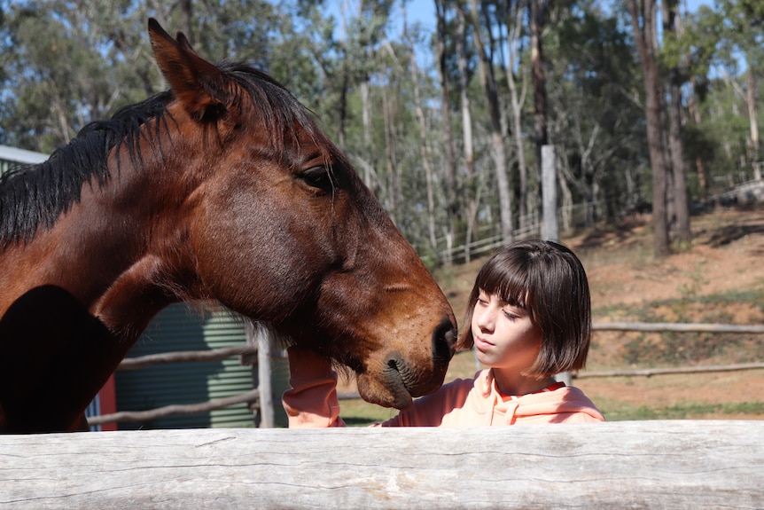 Traditional equine therapy uses well-adjusted horses to help people