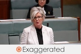 Helen Haines wears glasses and a grey suit speaking in parliament. Verdict: Exaggerated with an orange asterisk in a circle