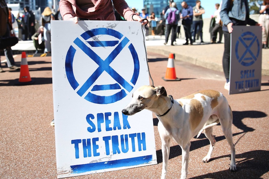 A person with a dog on a leash holding a sign reading 'speak the truth'