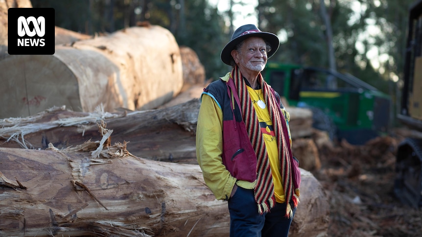 Mandat d’arrêt émis contre un aîné aborigène après ne pas s’être présenté au tribunal suite à une manifestation anti-exploitation forestière en Tasmanie